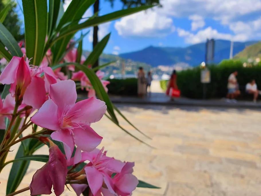 Plaza Deluxe Modern Center House - View Como Lake - Top Privacy Екстериор снимка